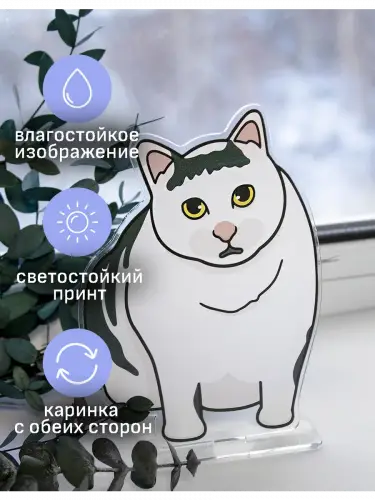 Стенд акриловый Мемные котики