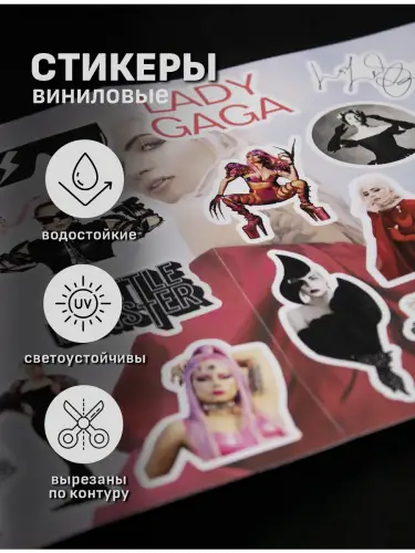 Бокс Леди Гага, 12 предметов