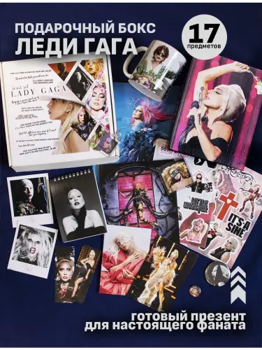 Бокс Леди Гага, 17 предметов