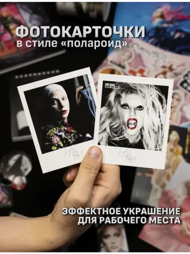 Бокс Леди Гага, 17 предметов