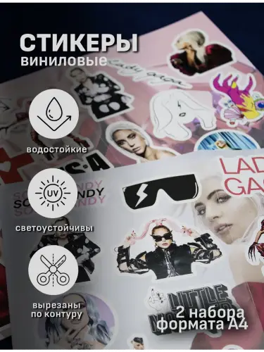 Бокс Леди Гага, 17 предметов
