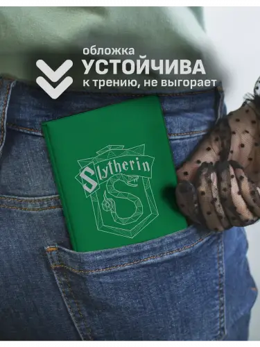 Обложка на паспорт Слизерин минимализм Гарри Поттер