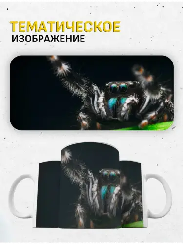 Кружка паук, 330 мл.