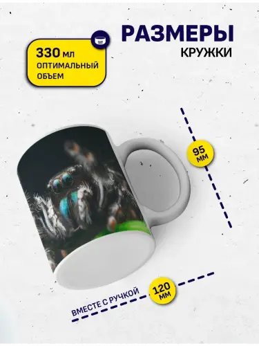 Кружка паук, 330 мл.