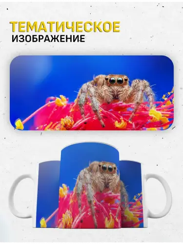 Кружка паук, 330 мл.