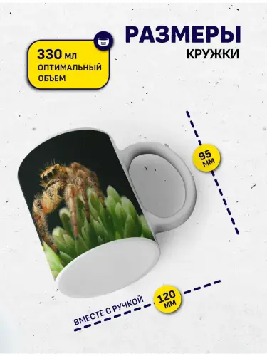 Кружка паук, 330 мл.