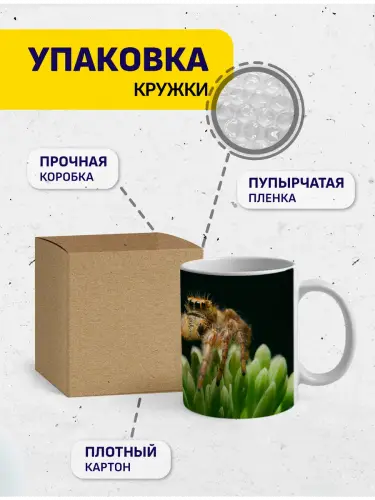 Кружка паук, 330 мл.