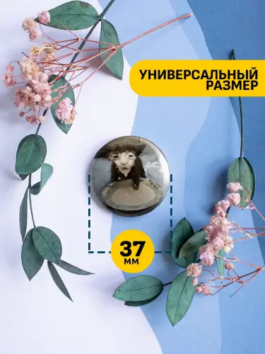 Набор значков мемы с котиками, 6 шт.
