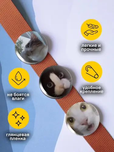 Набор значков мемы с котиками, 6 шт.