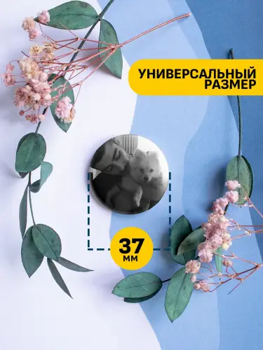 Набор значков Зейн Малик, 6 шт.