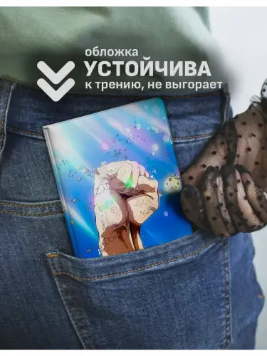 Обложка на паспорт Моя геройская академия