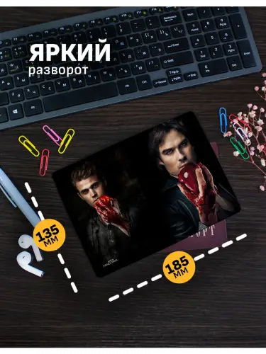Обложка на паспорт Дневники вампира Деймон и Стефан Сальваторе