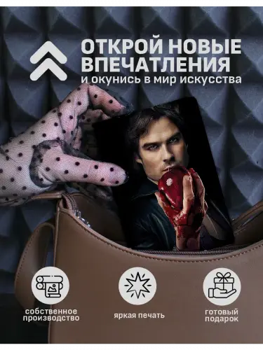Обложка на паспорт Дневники вампира Деймон и Стефан Сальваторе