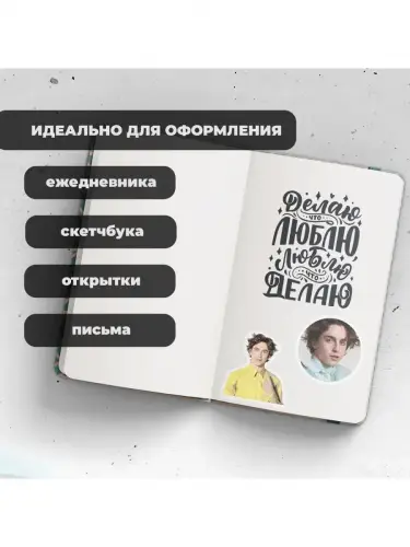 Набор стикеров Тимоти Шаламе, 2 листа А4