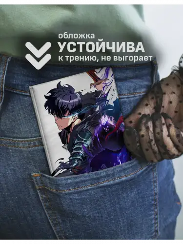 Обложка на паспорт Solo Leveling