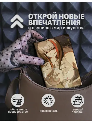 Обложка на паспорт Zenless Zone Zero Е Шуньгуан