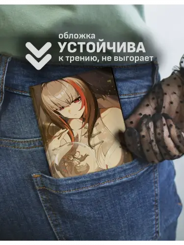 Обложка на паспорт Zenless Zone Zero Е Шуньгуан