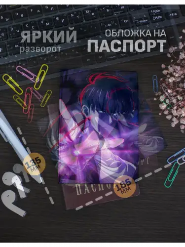 Обложка на паспорт Solo Leveling: Сон Джин Ву