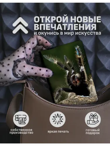 Обложка на паспорт Пауки