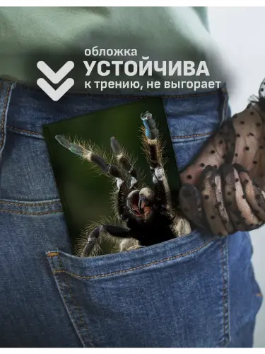 Обложка на паспорт Пауки