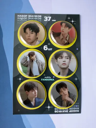 Набор значков Stray Kids Сынмин , 6 шт.