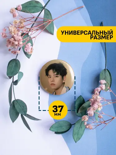 Набор значков Stray Kids Сынмин , 6 шт.