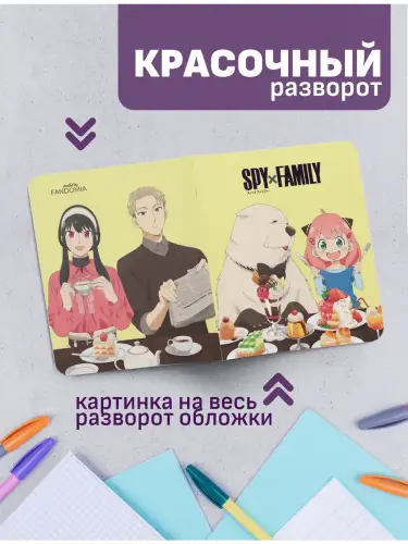 Набор тетрадей Семья шпиона