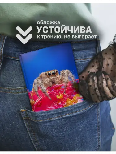 Обложка на паспорт Пауки