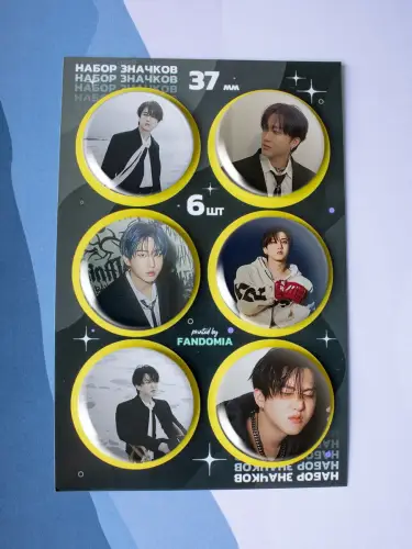 Набор значков Stray Kids Чанбин, 6 шт.