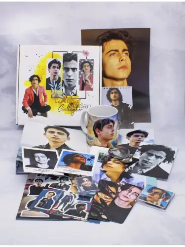 Бокс Эйдан Галлагер, 17 предметов