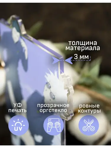 Стенд акриловый Годжо и Гето